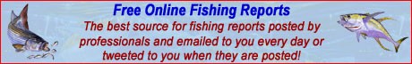 Free Fishing Reports